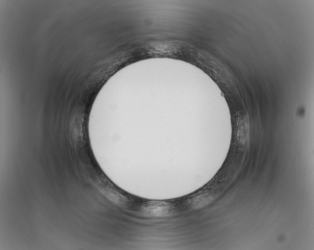 X0000116880514201002021151