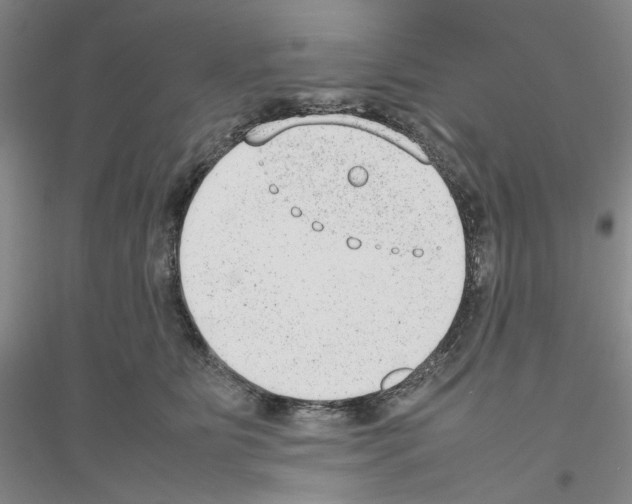 X0000116880515201002021151