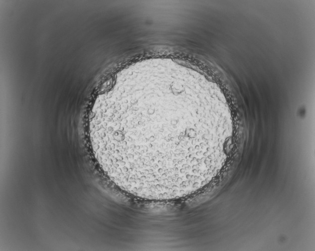 X0000116880516201002021151