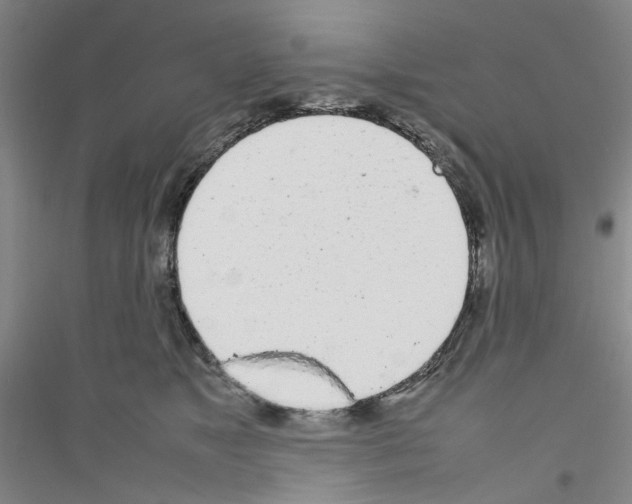 X0000116880517201002021151