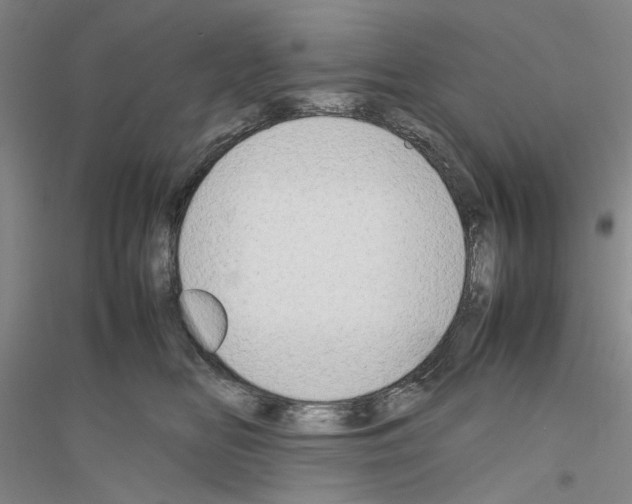 X0000116880518201002021151