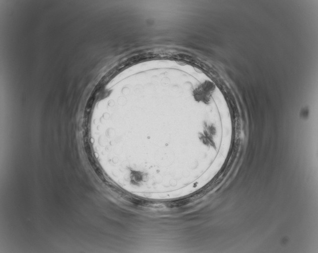 X0000116880519201002021151