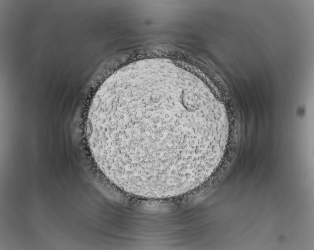 X0000116880520201002021151