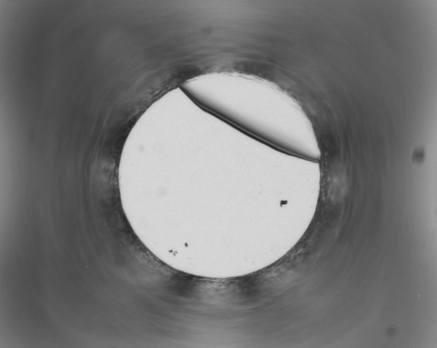 X0000116880521201002021151