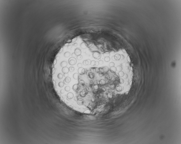 X0000116880523201002021151