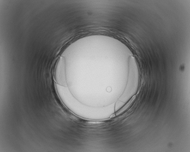 X0000116880524201002021151