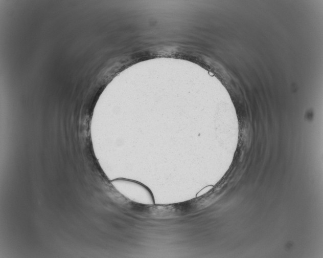 X0000116880525201002021151
