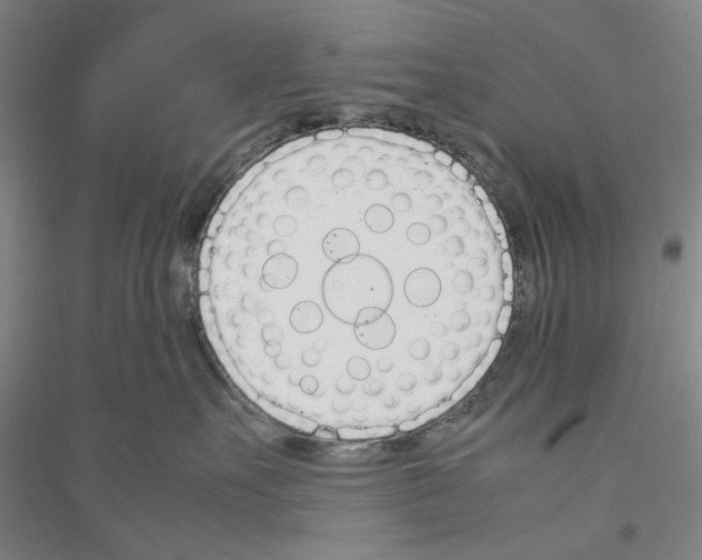 X0000116880527201002021151