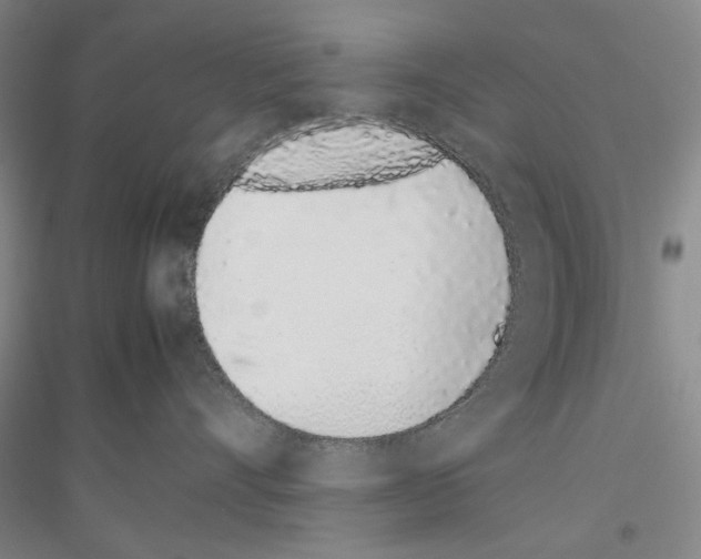 X0000116880528201002021151