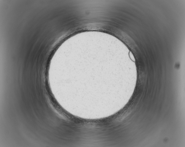 X0000116880530201002021150