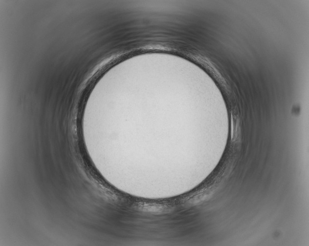 X0000116880531201002021150