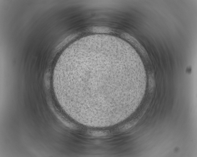 X0000116880533201002021150