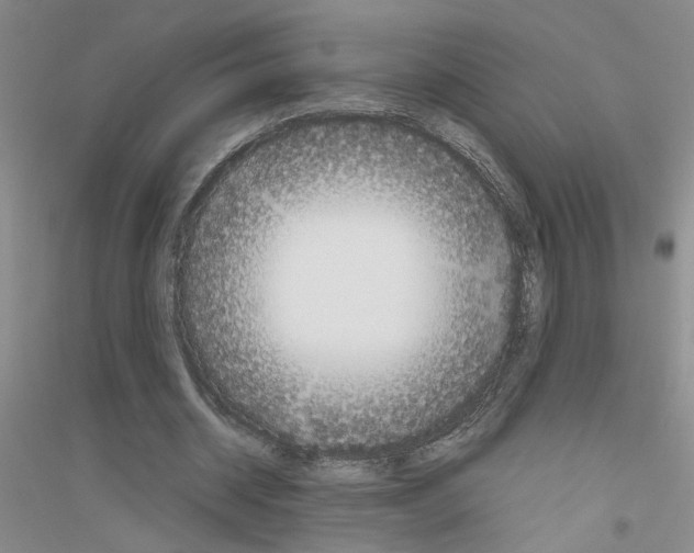 X0000116880534201002021150