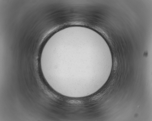 X0000116880535201002021150