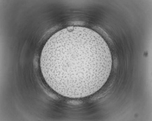 X0000116880537201002021150