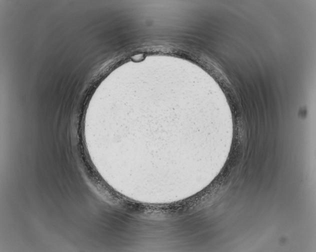 X0000116880538201002021150