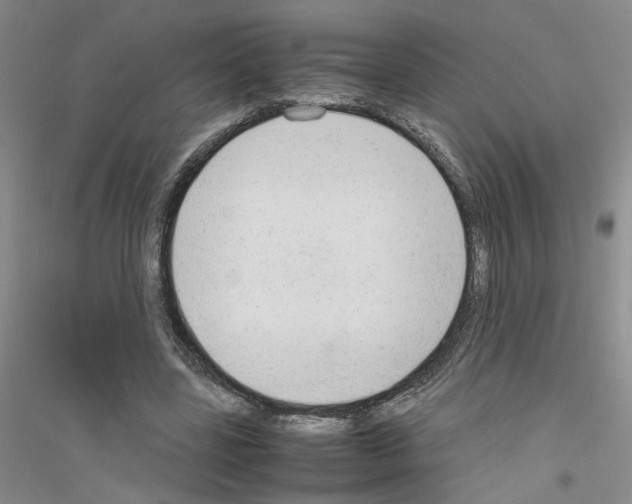 X0000116880539201002021150