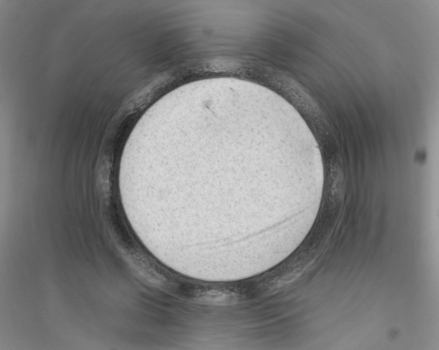 X0000116880542201002021150