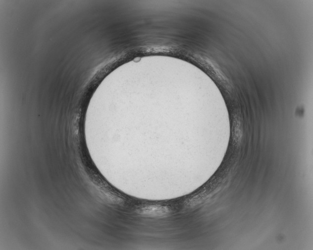 X0000116880543201002021150