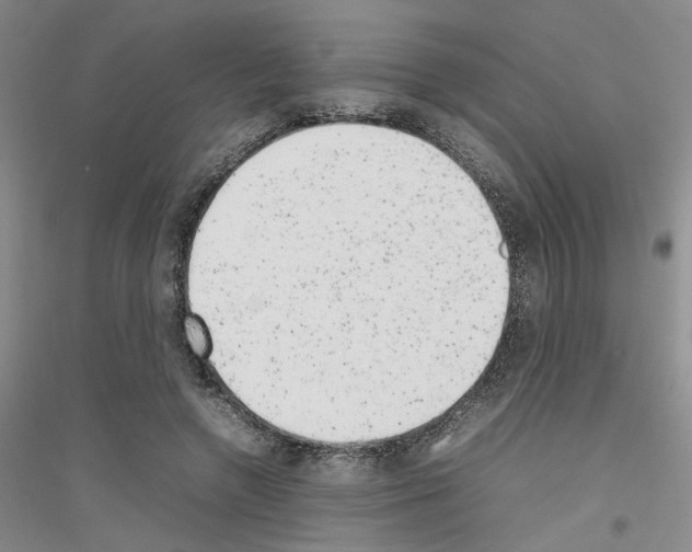 X0000116880546201002021150