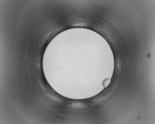 X0000116880547201002021150