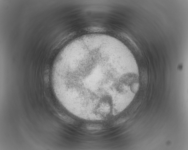 X0000116880549201002021150