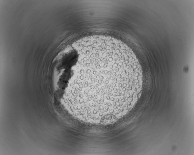 X0000116880550201002021150