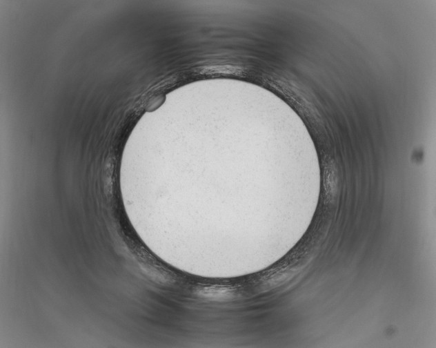 X0000116880551201002021150