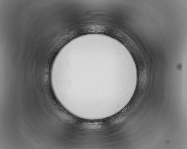 X0000116880553201002021150