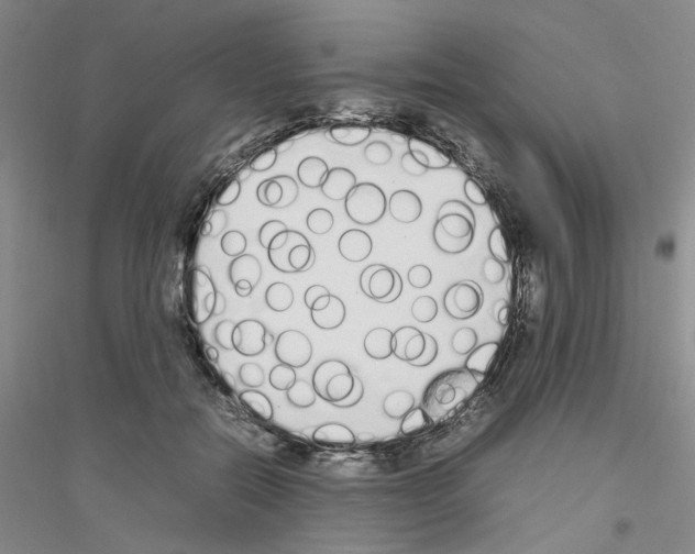 X0000116880554201002021150