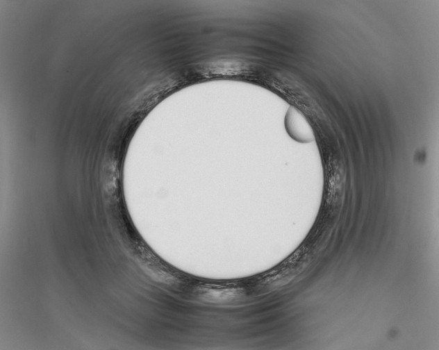 X0000116880555201002021150