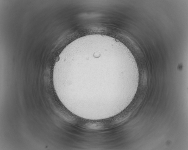 X0000116880557201002021150