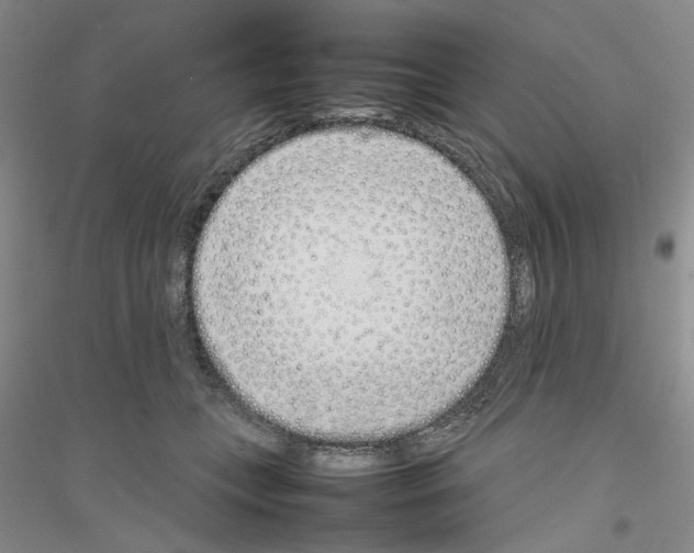X0000116880559201002021150