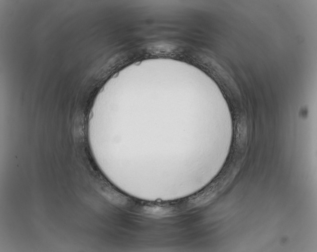 X0000116880561201002021150