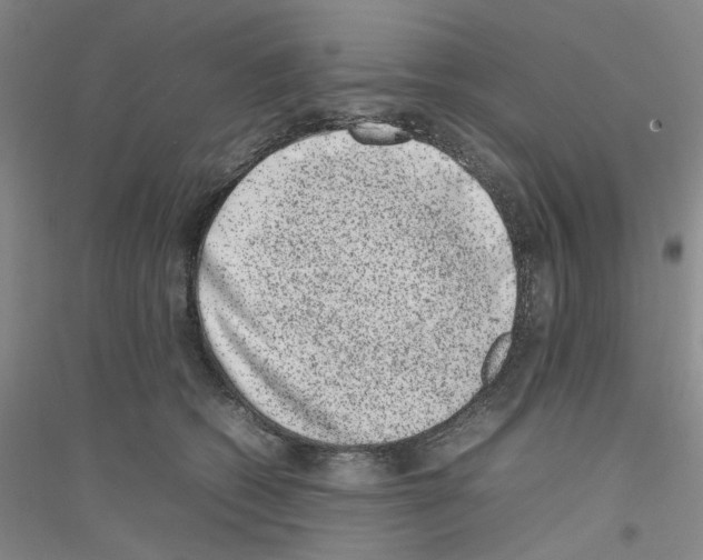 X0000116880562201002021150