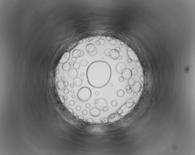 X0000116880563201002021150