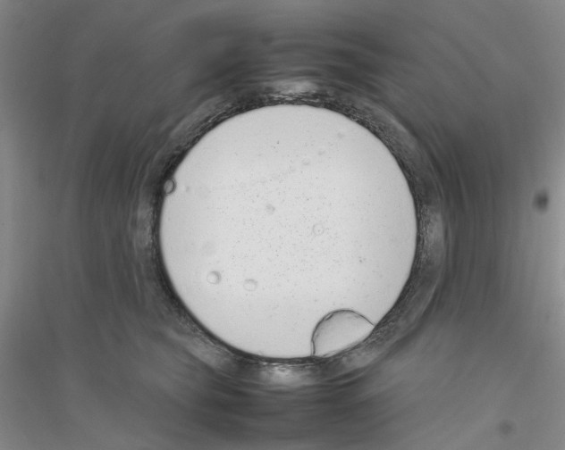 X0000116880565201002021150