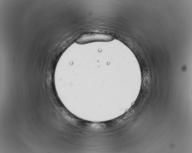 X0000116880566201002021150
