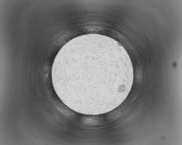 X0000116880567201002021150