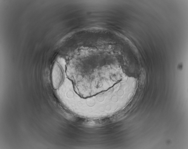 X0000116880569201002021150
