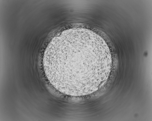 X0000116880570201002021151