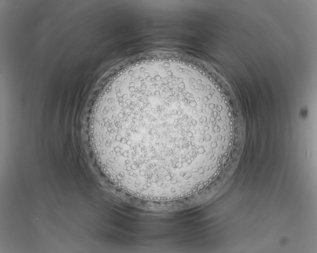 X0000116880571201002021151