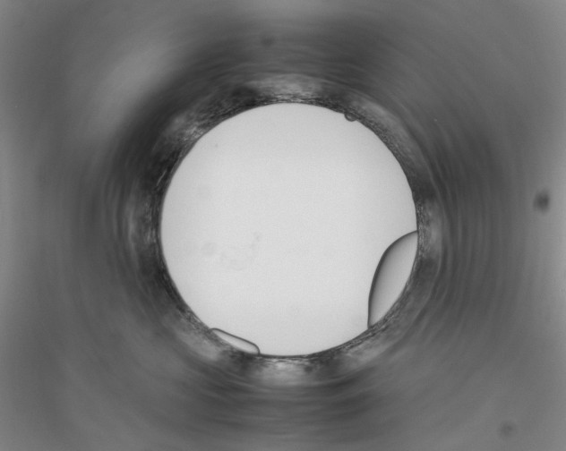 X0000116880573201002021151