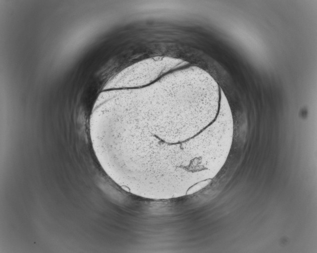 X0000116880574201002021151