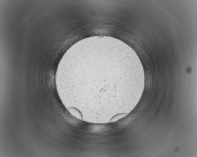 X0000116880575201002021151