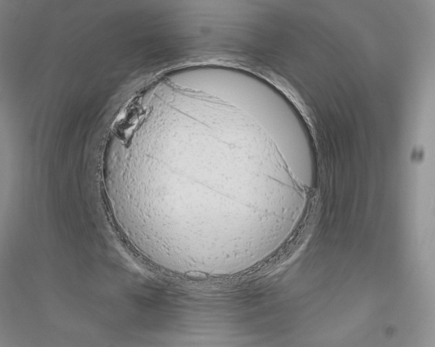 X0000116880577201002021150