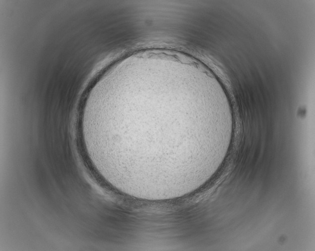 X0000116880578201002021150
