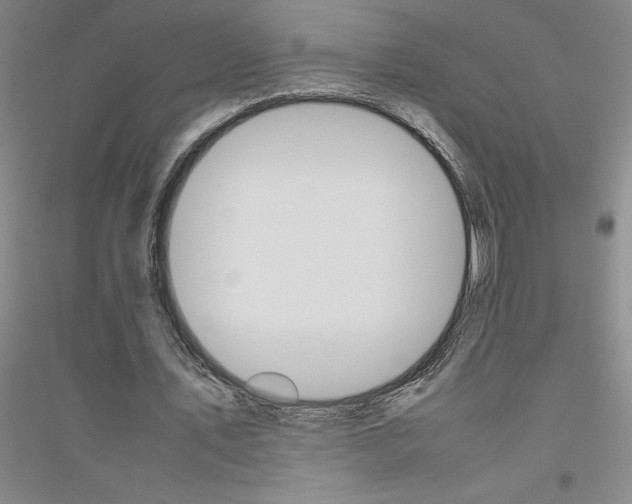 X0000116880579201002021150