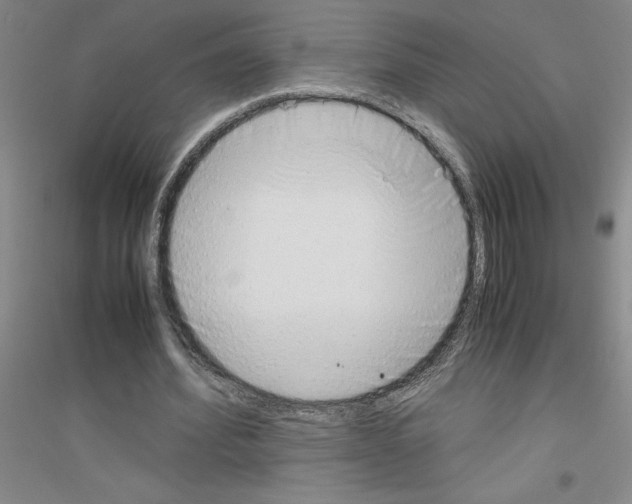 X0000116880580201002021150