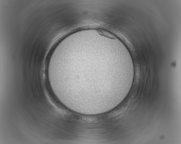 X0000116880582201002021150